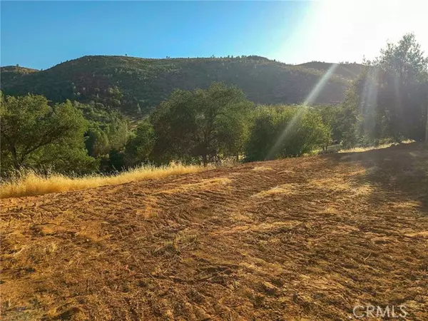 Mariposa, CA 95338,0 Terrace View