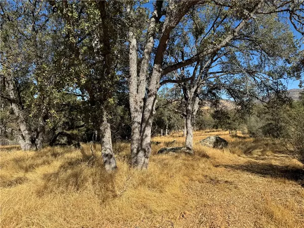 0 Bear Valley, Mariposa, CA 95338