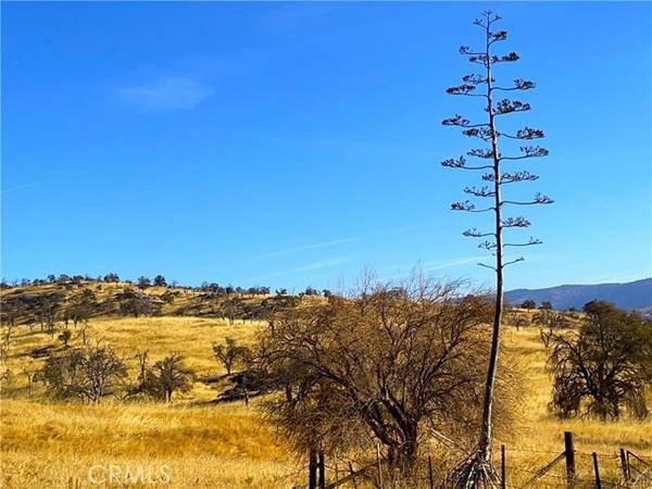 Mariposa, CA 95338,6147 Indian Gulch