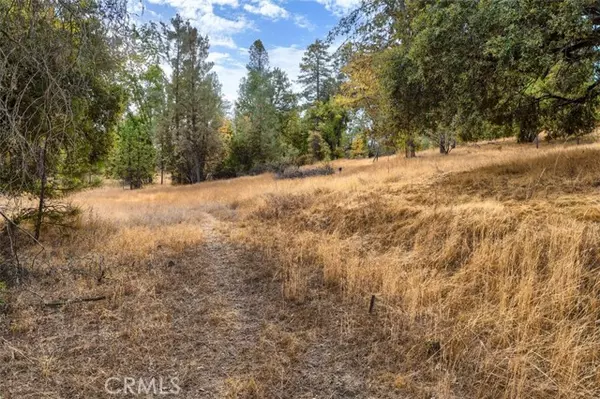 Mariposa, CA 95338,4959 Sierra Pines