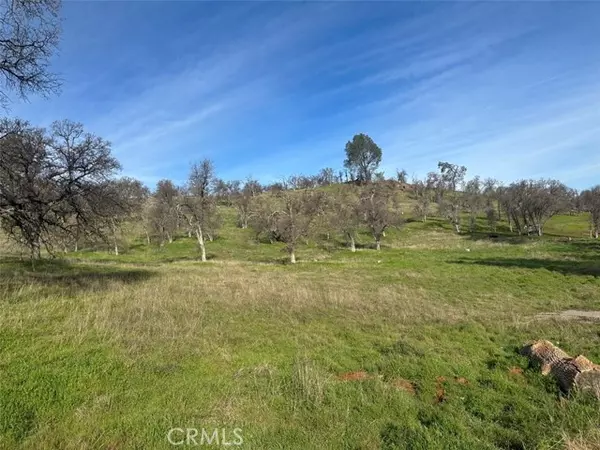 3228 Wild Rose, Catheys Valley, CA 95306