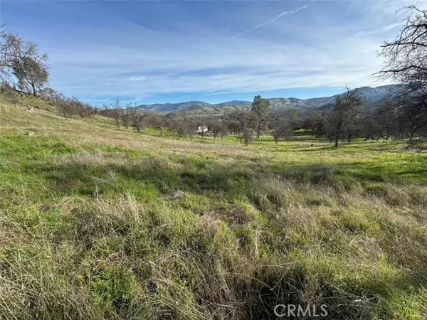 Catheys Valley, CA 95306,3228 Wild Rose