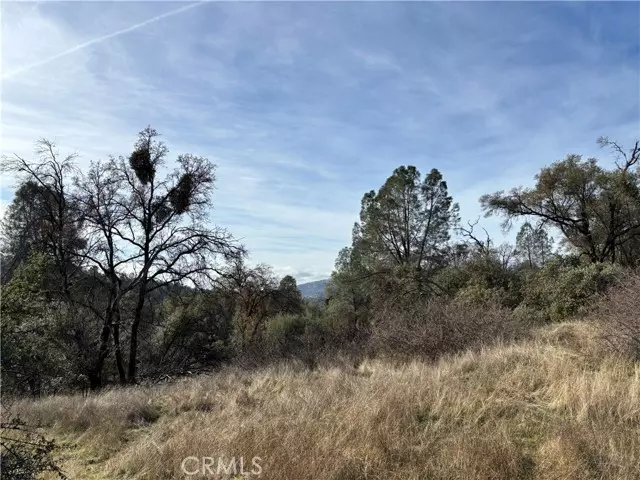 Mariposa, CA 95338,0 Daffodil