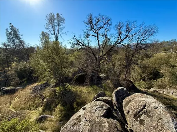 Mariposa, CA 95338,4541 Little Buck