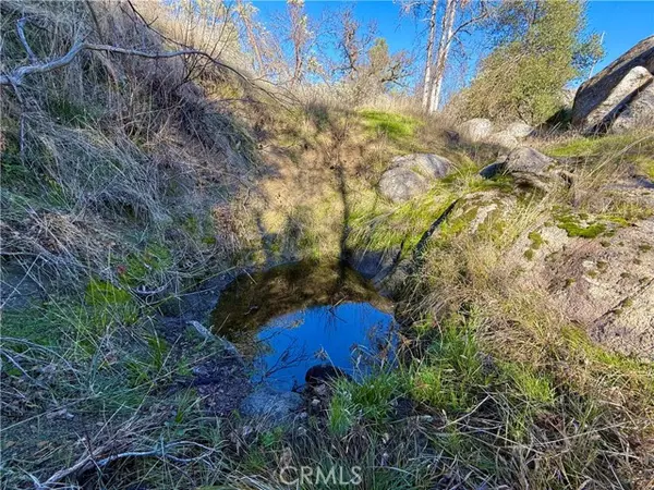 Mariposa, CA 95338,4541 Little Buck