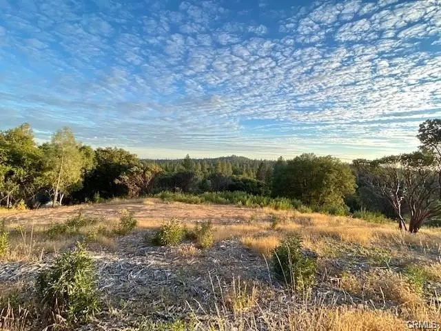 Mariposa, CA 95338,17 Vista Lago