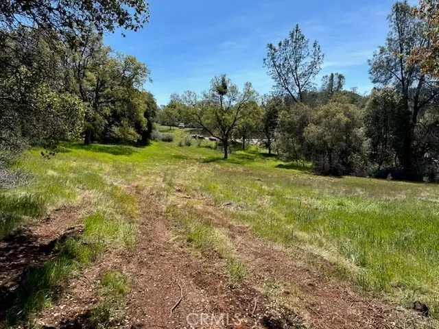 Mariposa, CA 95338,0 Highway 49 N