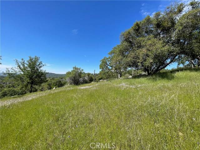 Mariposa, CA 95338,3116 River Haven