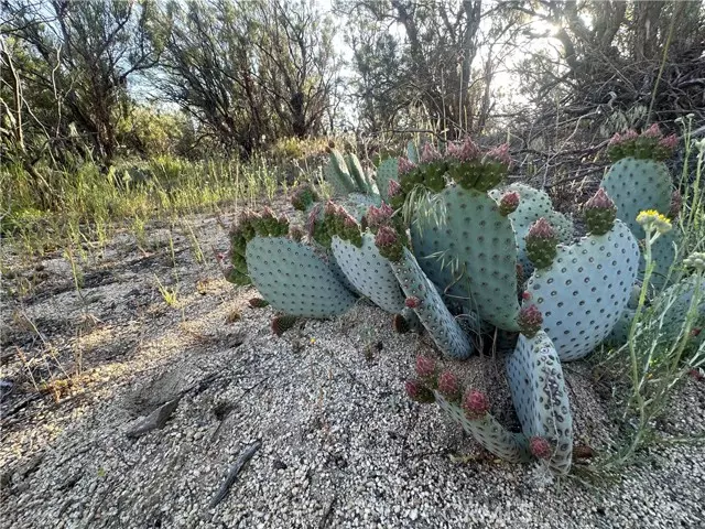 Warner Springs, CA 92086,29983 Chihuahua Valley