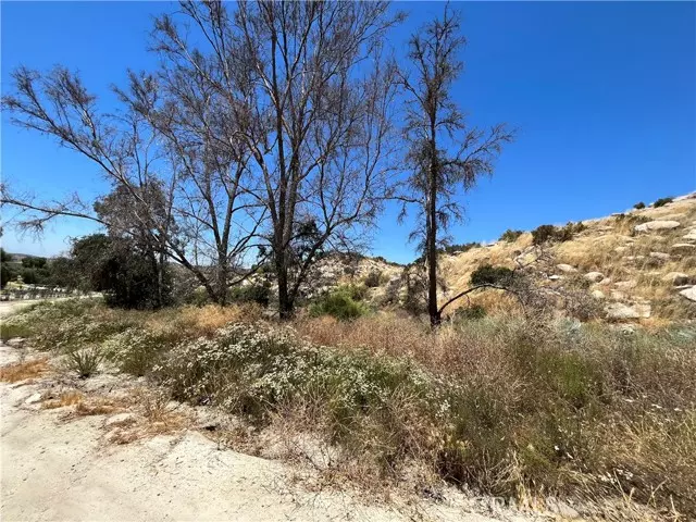 Aguanga, CA 92536,0 Palomino Rd