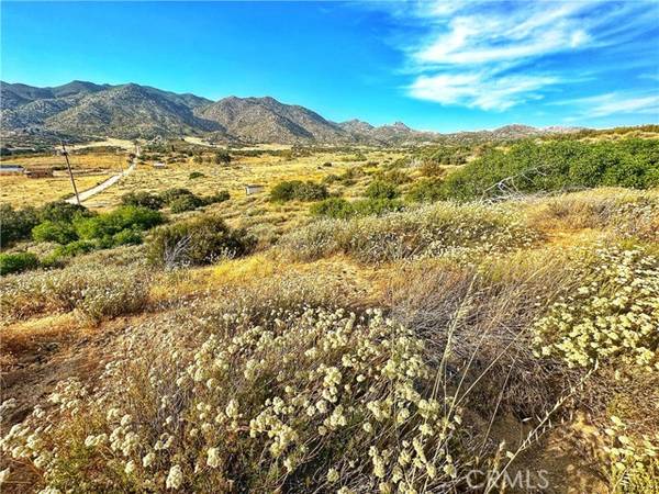 28391 Skyway, Ranchita, CA 92066