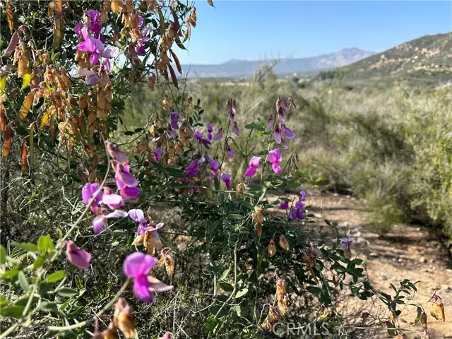 Warner Springs, CA 92086,40 Winery Lane