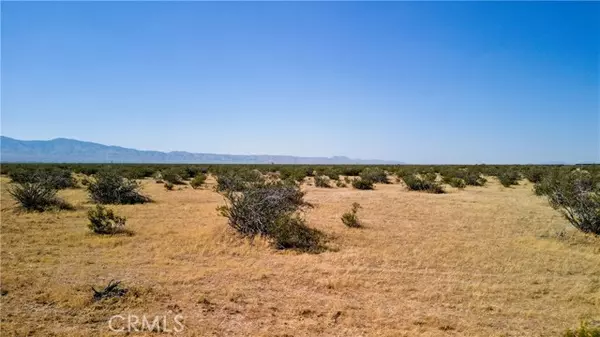 Mojave, CA 93501,0 no address available