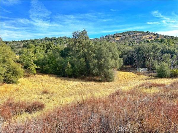 5672 Forest Meadow, Julian, CA 92036