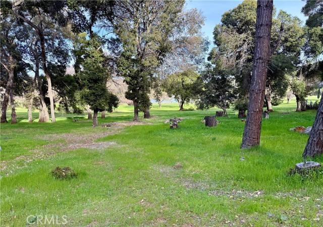 2748 Buckingham Dr, Kelseyville, CA 95451