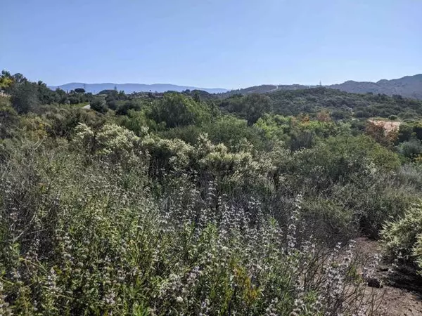 Escondido, CA 92026,0 Lotus Pond