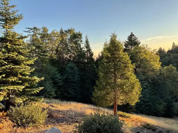 22167 Crestline Road, Palomar Mountain, CA 92060