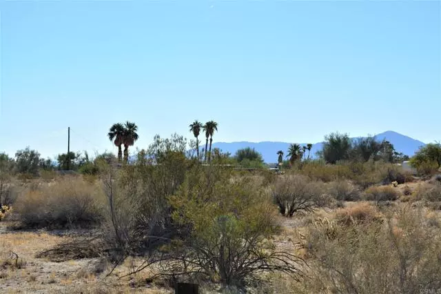 Borrego Springs, CA 92004,Verbena Dr Lot 193