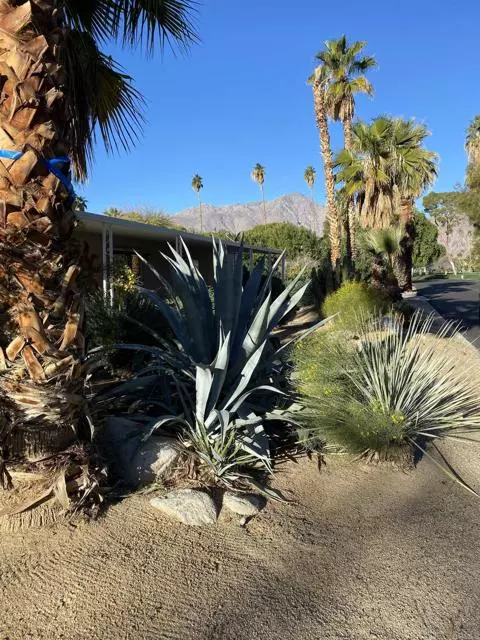 Borrego Springs, CA 92004,1010 Palm Canyon #137