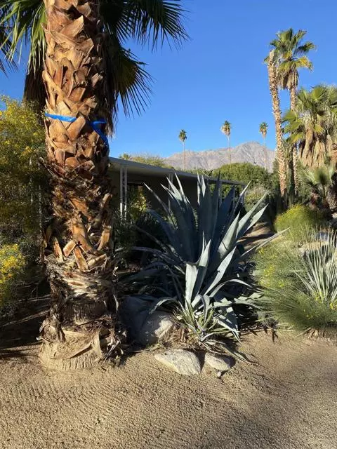 Borrego Springs, CA 92004,1010 Palm Canyon #137