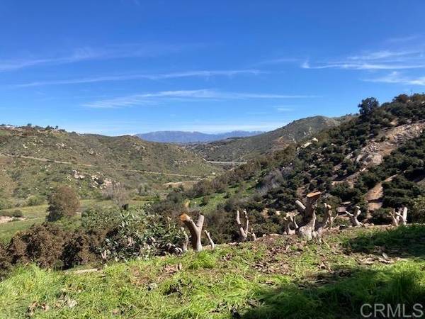 8 Camino del Rey, Bonsall, CA 92003