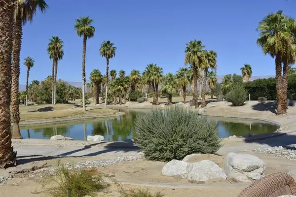 Borrego Springs, CA 92004,1010 Palm Canyon #394