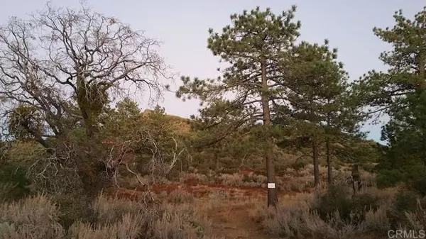 Mount Laguna, CA 91962,34810 Morris Ranch