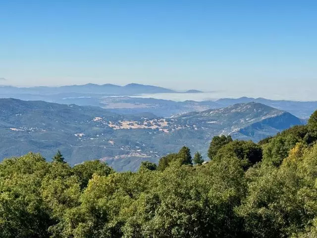 Palomar Mountain, CA 92060,22213 Crestline Road