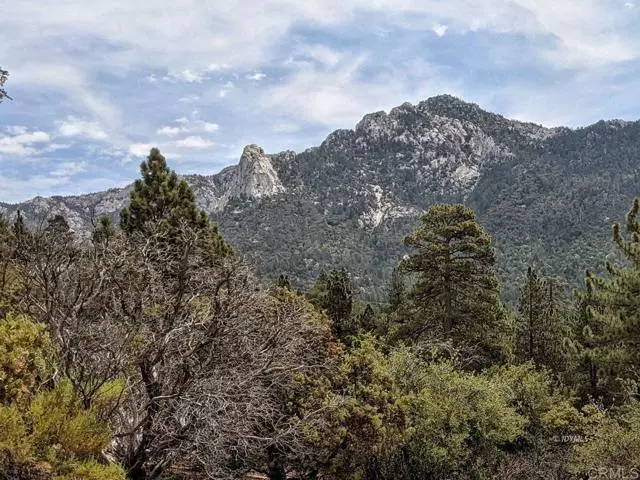 Idyllwild, CA 92549,Rockdale