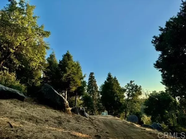 Palomar Mountain, CA 92060,10 Acres Greenfield