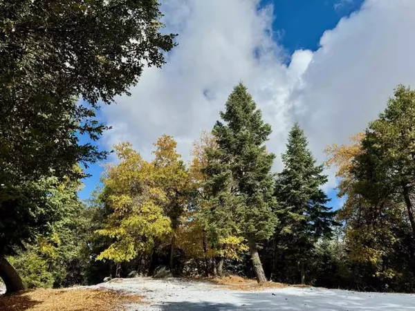 Palomar Mountain, CA 92060,10 Acres Greenfield