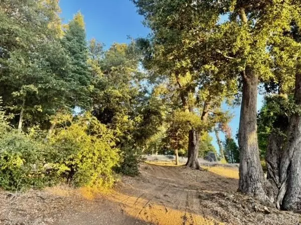 10 Acres Greenfield, Palomar Mountain, CA 92060