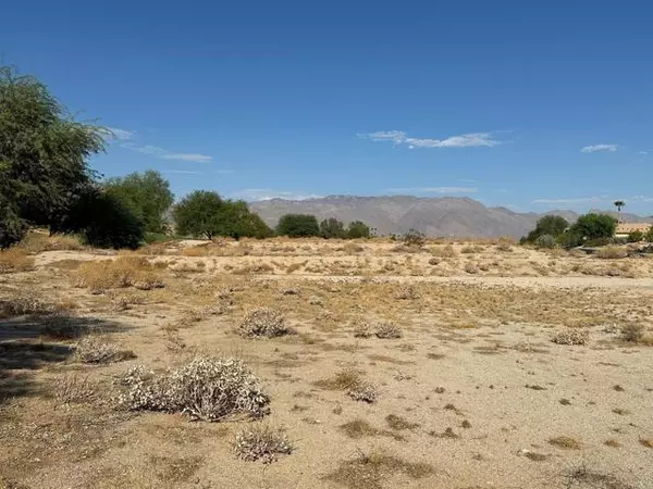 Borrego Springs, CA 92004,0 Roadrunner