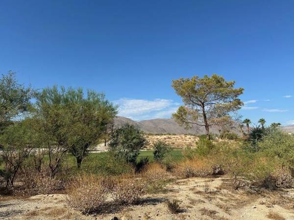 Borrego Springs, CA 92004,0 Roadrunner