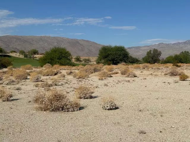 0 Roadrunner, Borrego Springs, CA 92004