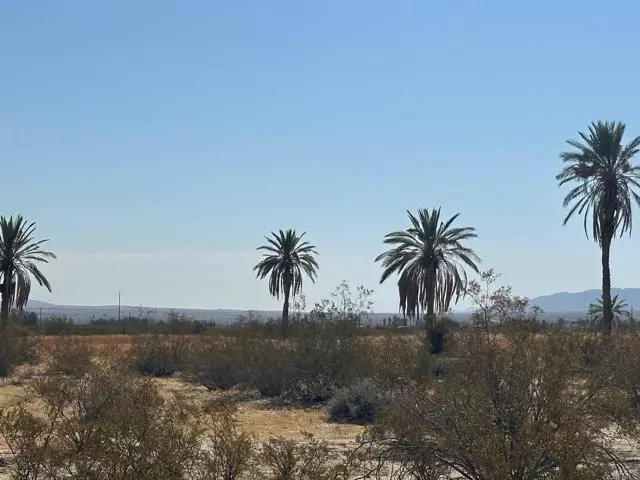 Borrego Springs, CA 92004,0 Club