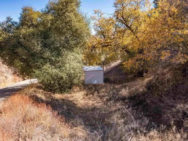 Santa Ysabel, CA 92070,8 Bobcat