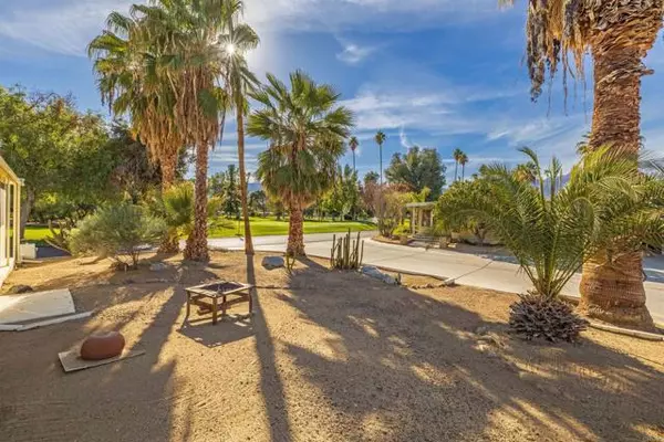 Borrego Springs, CA 92004,1010 Palm Canyon #89