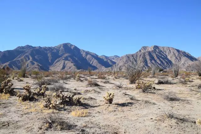 Borrego Springs, CA 92004,0 Palm Canyon