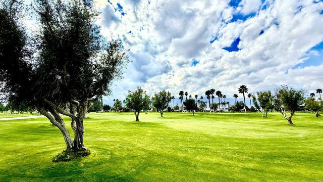 Cathedral City, CA 92234,69411 Ramon Rd #242