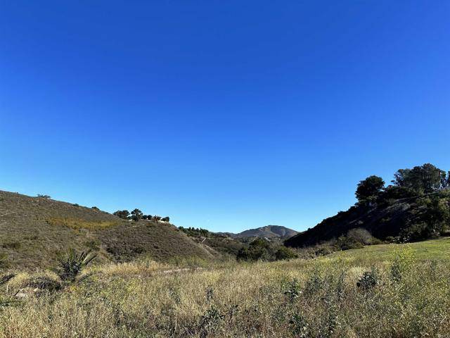 Rancho Santa Fe, CA 92067,18096 Loma Alegre