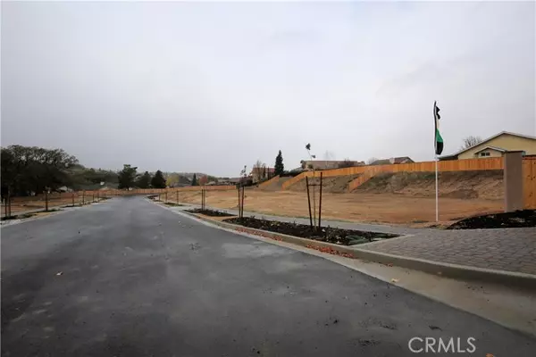 Paso Robles, CA 93446,4 Catahoula