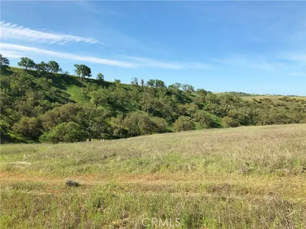 Paso Robles, CA 93446,0 Off Ground Squirrel