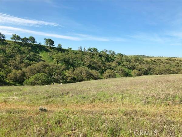 Paso Robles, CA 93446,0 Off Ground Squirrel