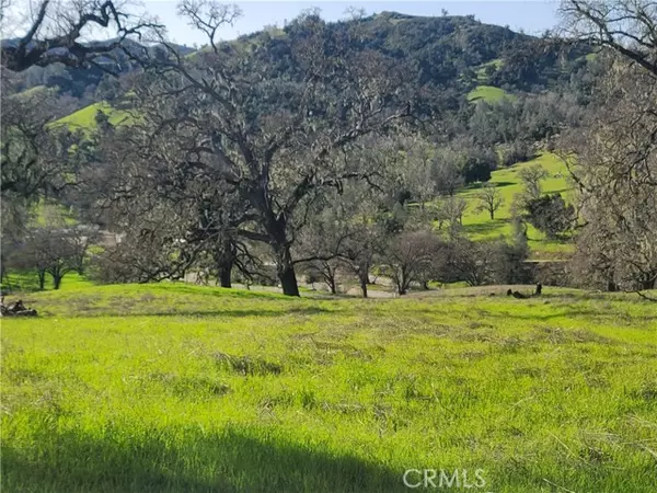 Paso Robles, CA 93446,40 Tres Vista