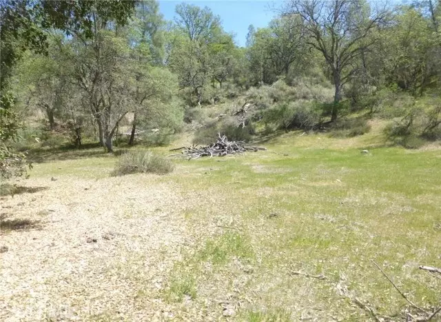 0 0 Vineyard Canyon Parcel 29, San Miguel, CA 93451