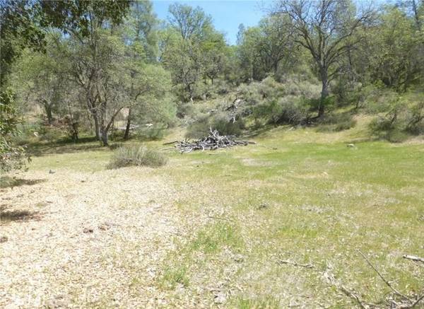 0 0 Vineyard Canyon Parcel 29, San Miguel, CA 93451