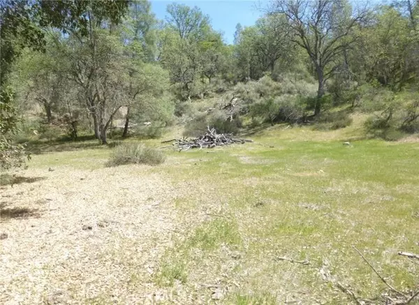 0 0 Vineyard Canyon Parcel 29, San Miguel, CA 93451