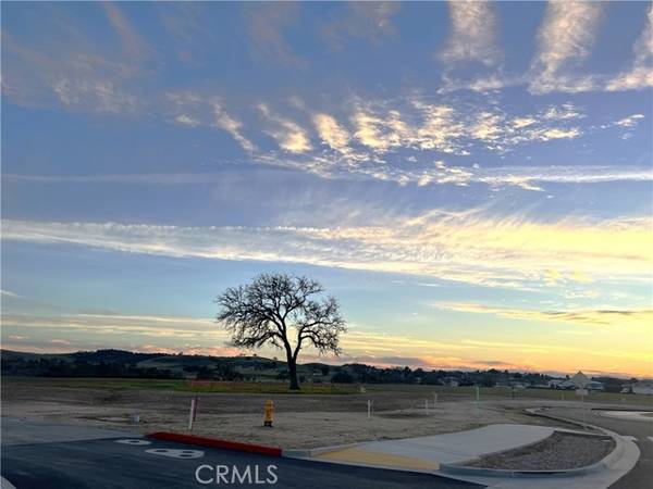 Paso Robles, CA 93446,0 Wisteria