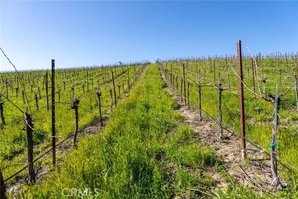 Paso Robles, CA 93451,5790 Hog Canyon